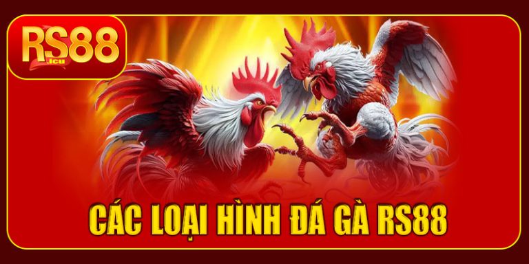 Các loại hình đá gà RS88