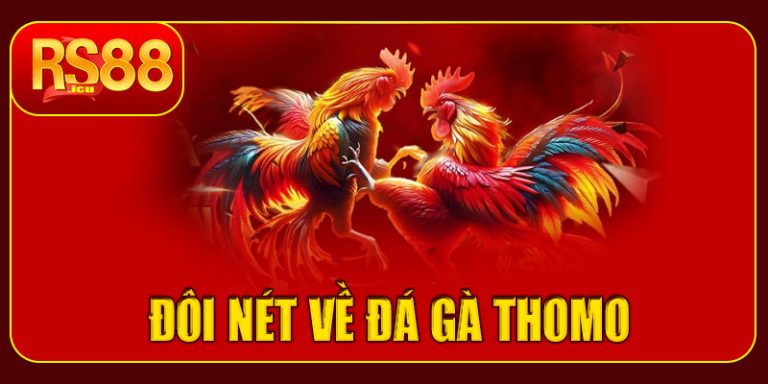 Đôi nét về đá gà Thomo