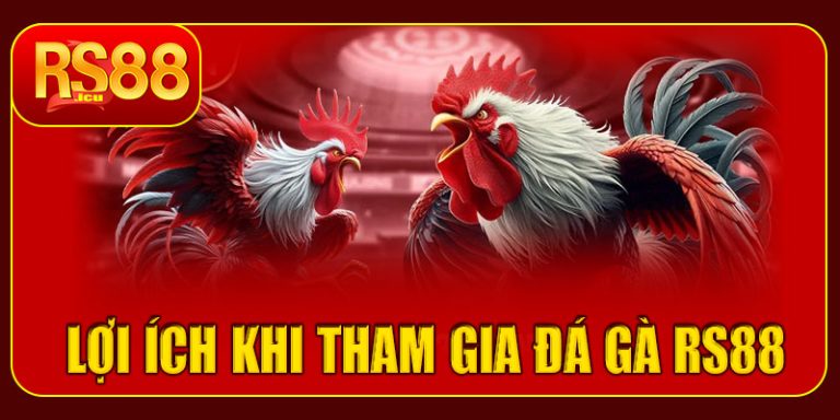 Lợi ích khi tham gia đá gà RS88