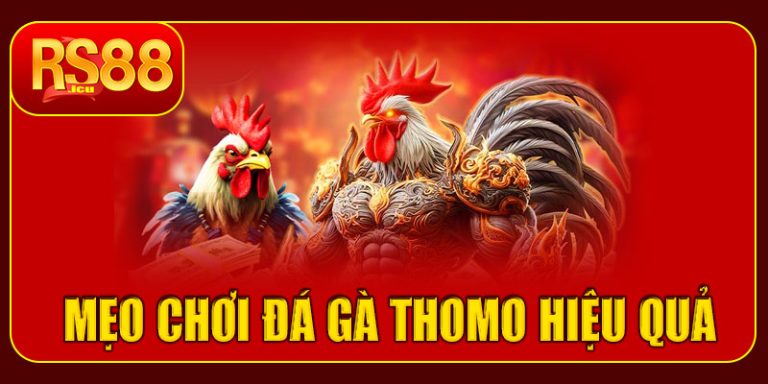 Mẹo chơi đá gà Thomo hiệu quả