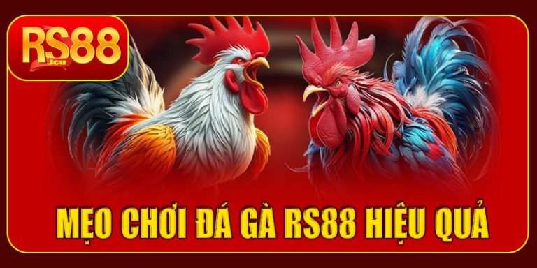 Mẹo chơi đá gà RS88 hiệu quả
