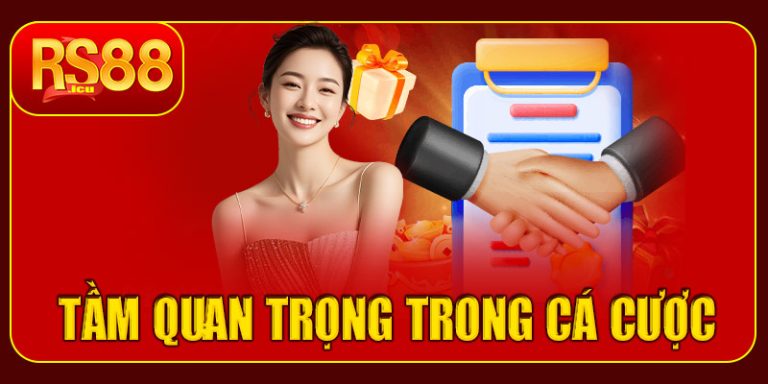 Quy định điều khoản quan trọng như thế nào trong cá cược