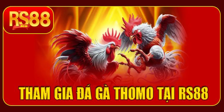Hướng dẫn tham gia đá gà Thomo tại RS88